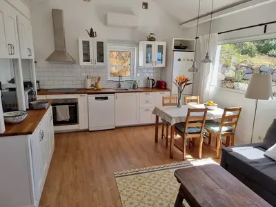 Modern and cozy kitchen