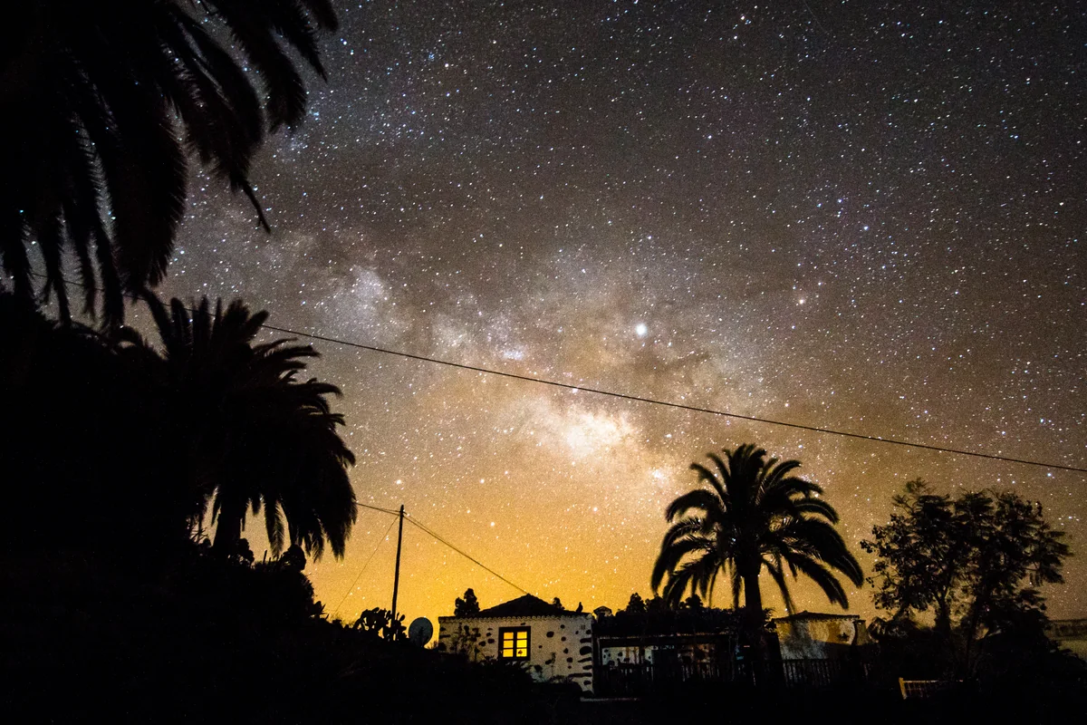 A star-filled sky above Casa Rosabel and the palm trees
