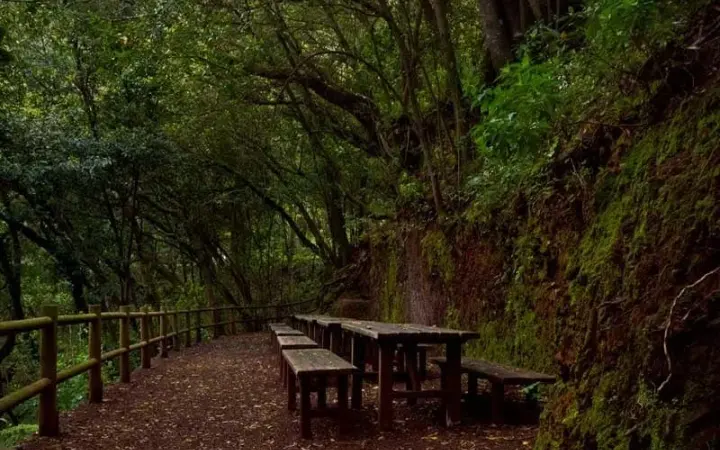 Las Mimbreras Spring in La Palma near Casa Rosabel