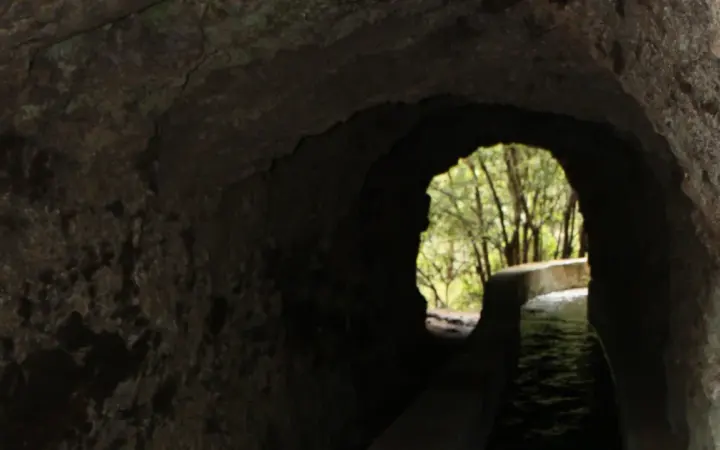 Marcos and Cordero Springs in La Palma near Casa Rosabel